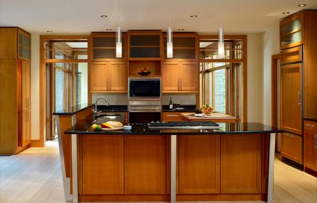 Private Residence, South Carolina - modern kitchen